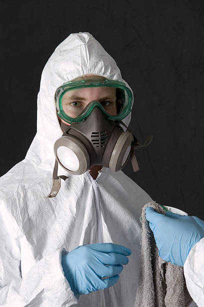 Mold Remediation for Vacation Homes in Enterprise, AL